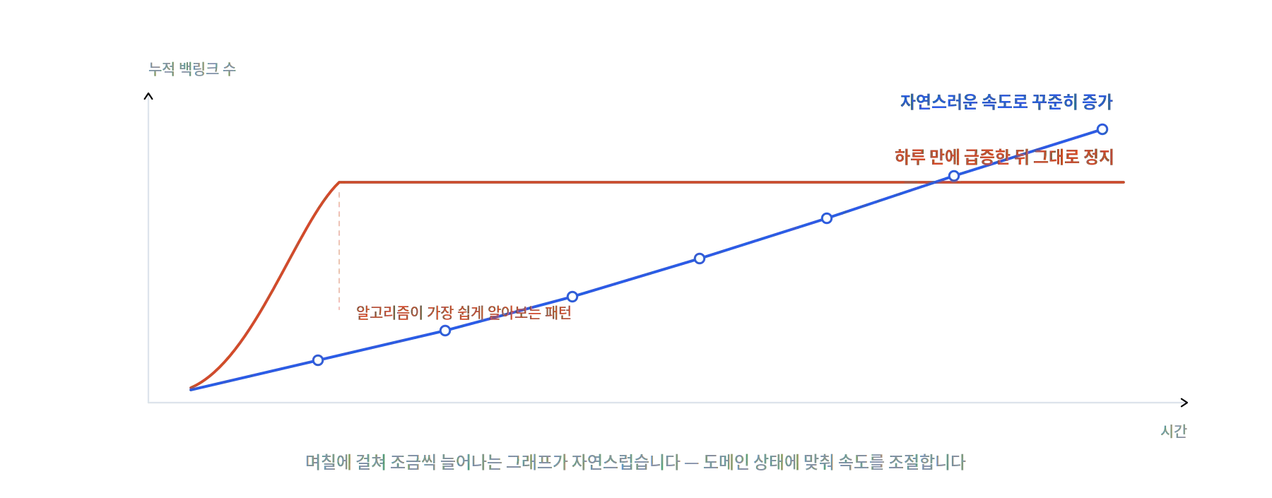 PBN 백링크 작업 방식